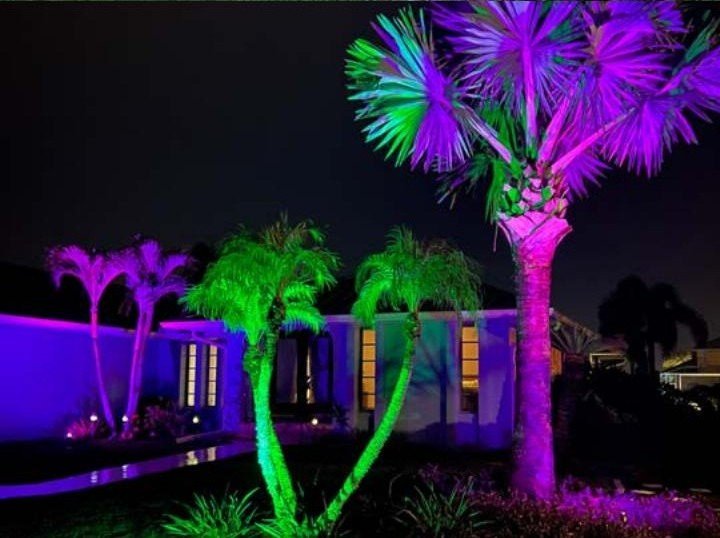 Palm trees lit in purple and green by Brighter Nights by TrueSpec landscape uplighting